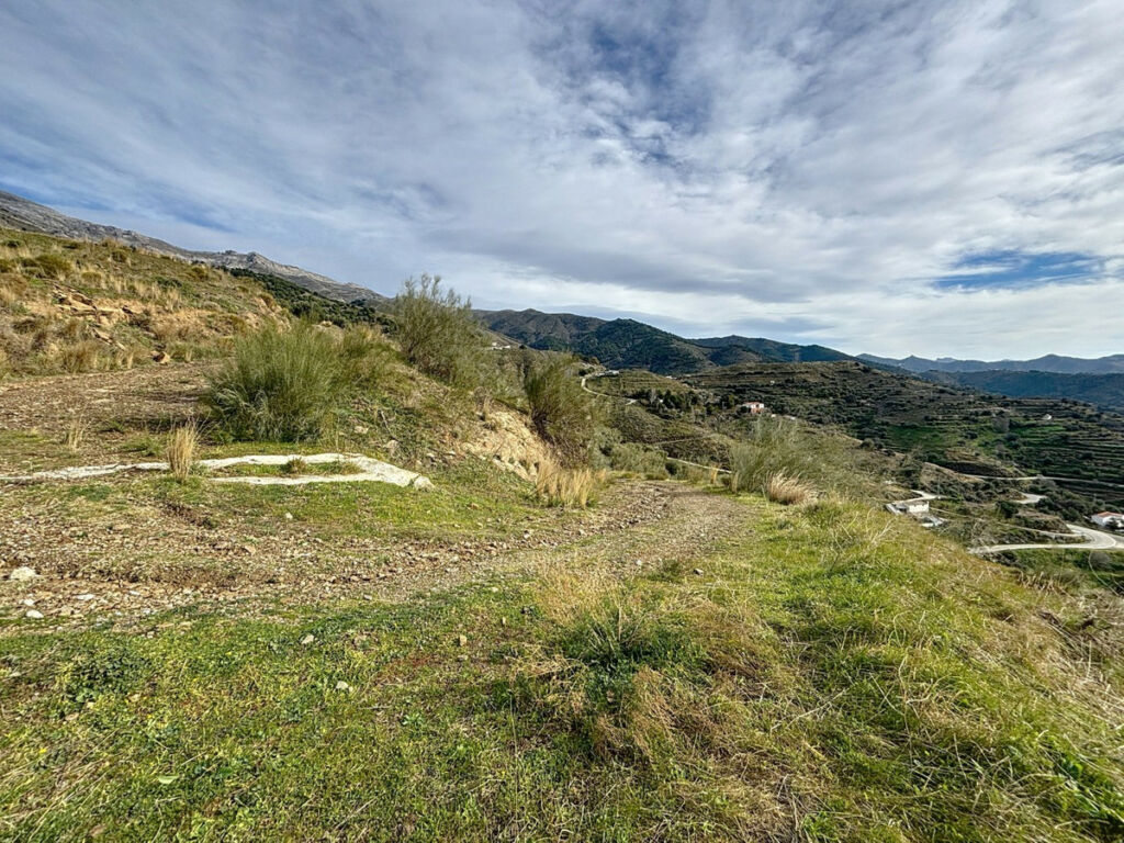 Land Sedella Málaga - image 7