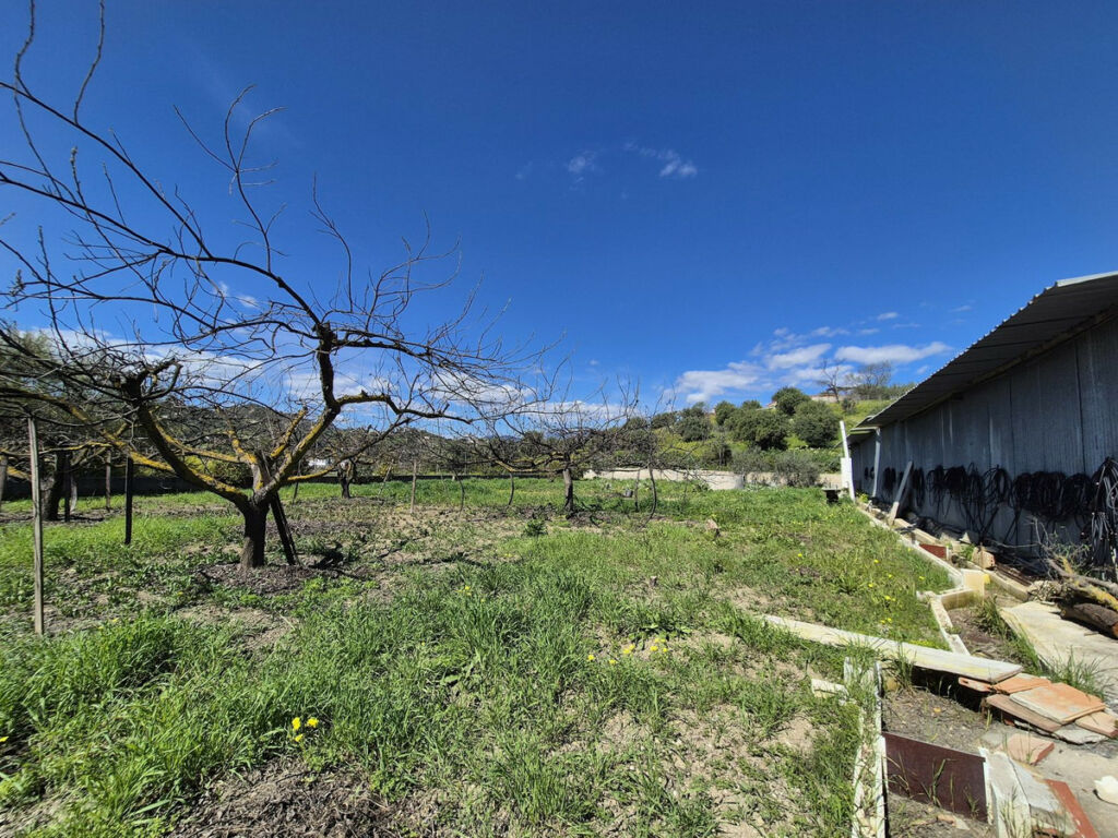 Finca - Cortijo Coín Málaga - image 71