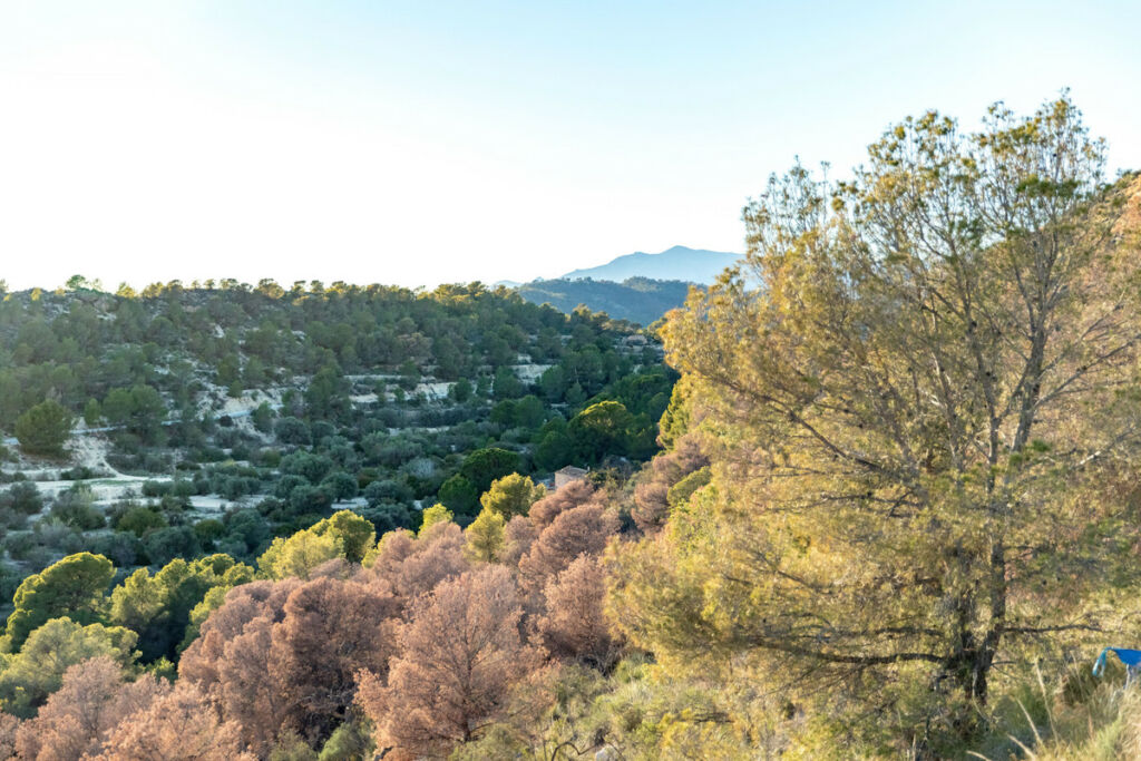 Bungalow Finestrat Alicante - image 72