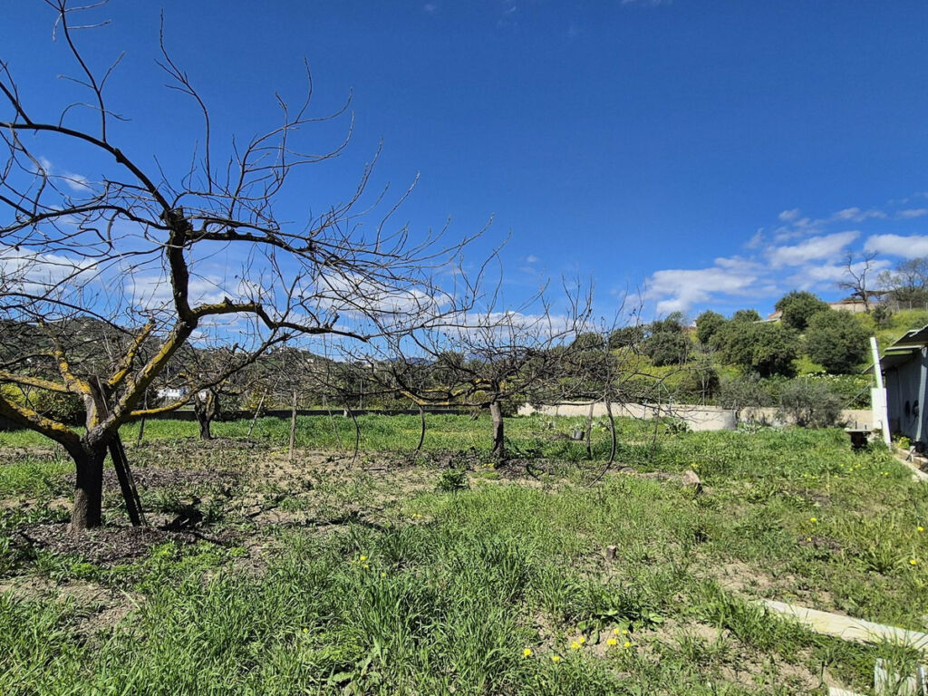 Finca - Cortijo Coín Málaga - image 73