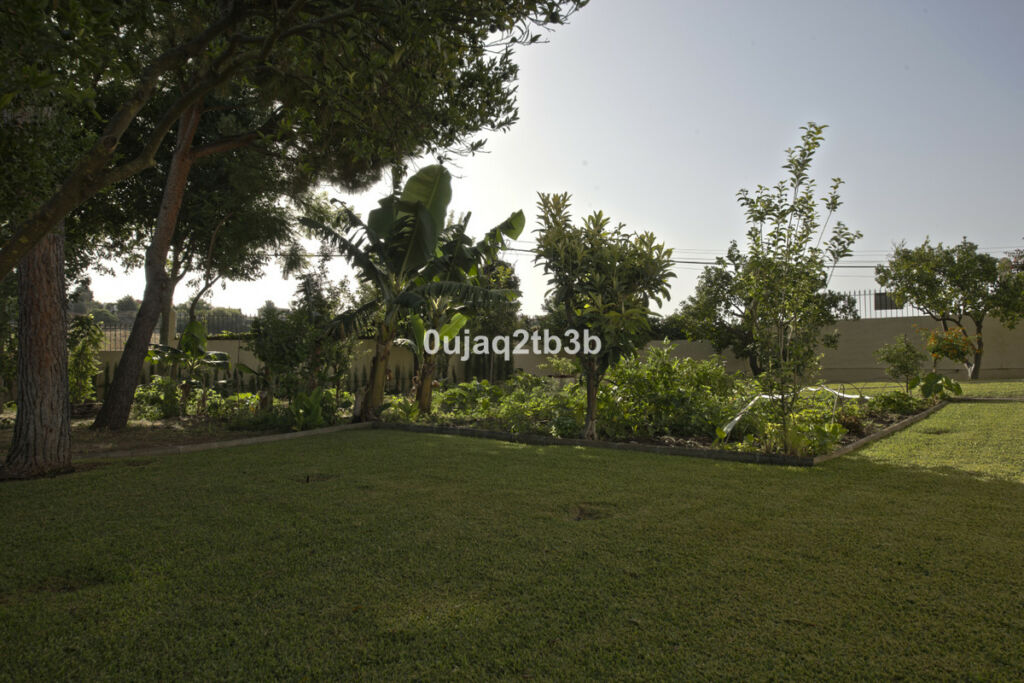 Detached Villa New Golden Mile Málaga - image 8