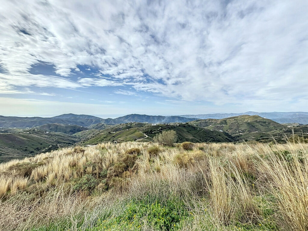Land Sedella Málaga - image 8