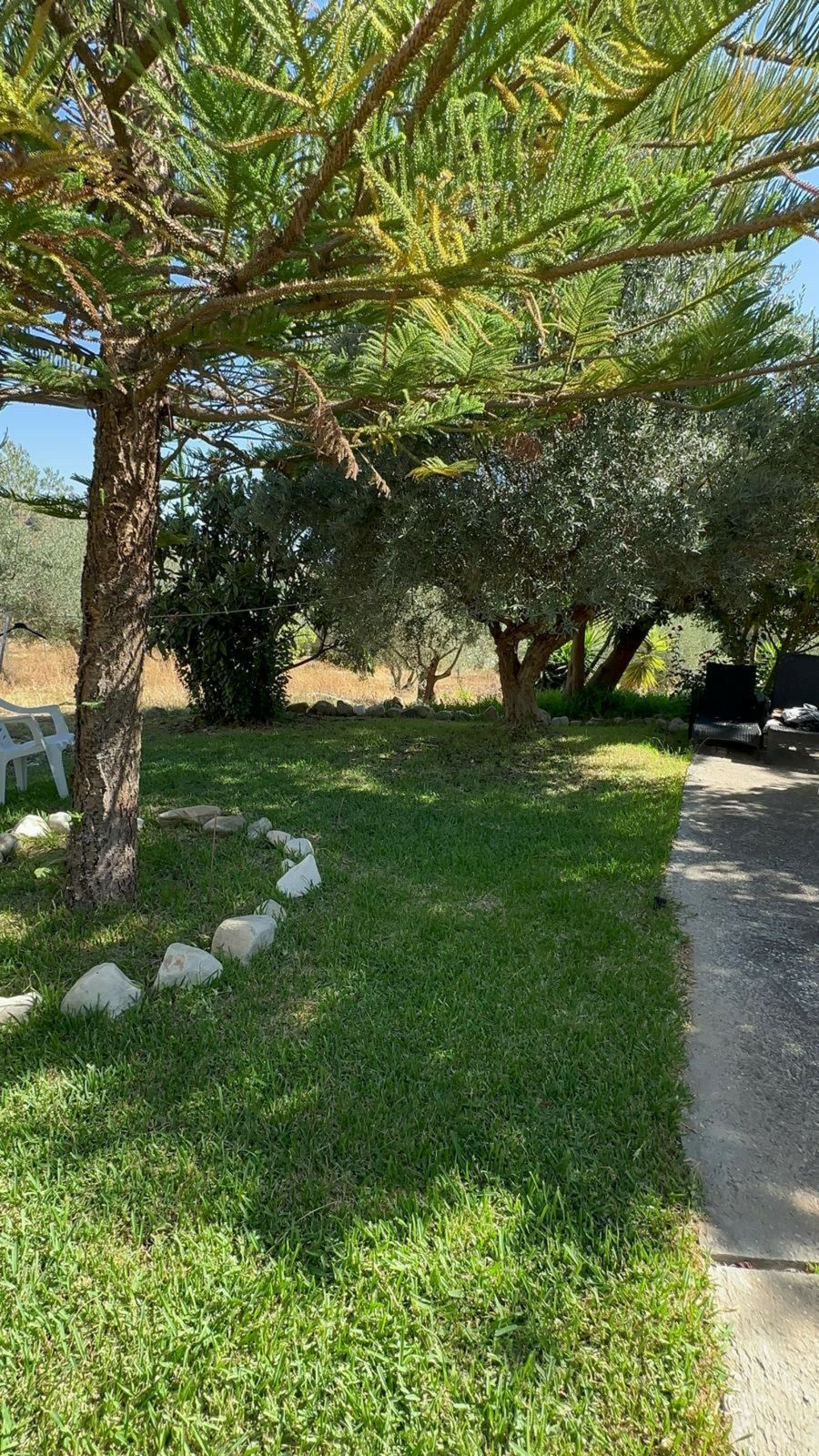 Finca - Cortijo Monda Málaga - image 8