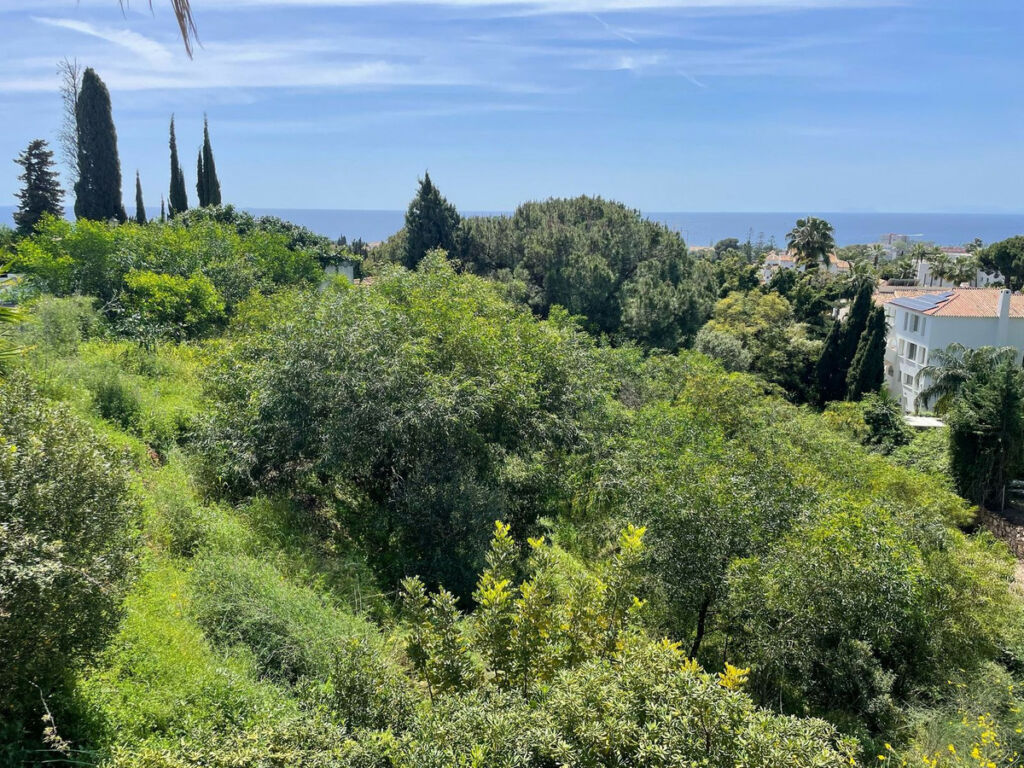 Residential Plot El Rosario Málaga - image 9