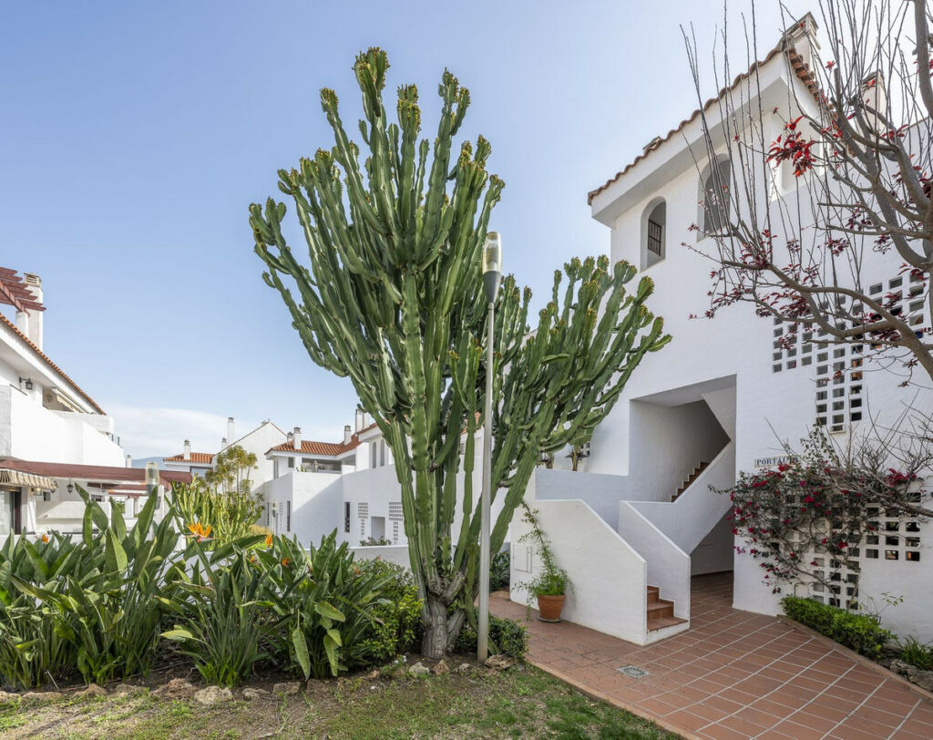 Middle Floor Apartment Nueva Andalucía Málaga - image 9