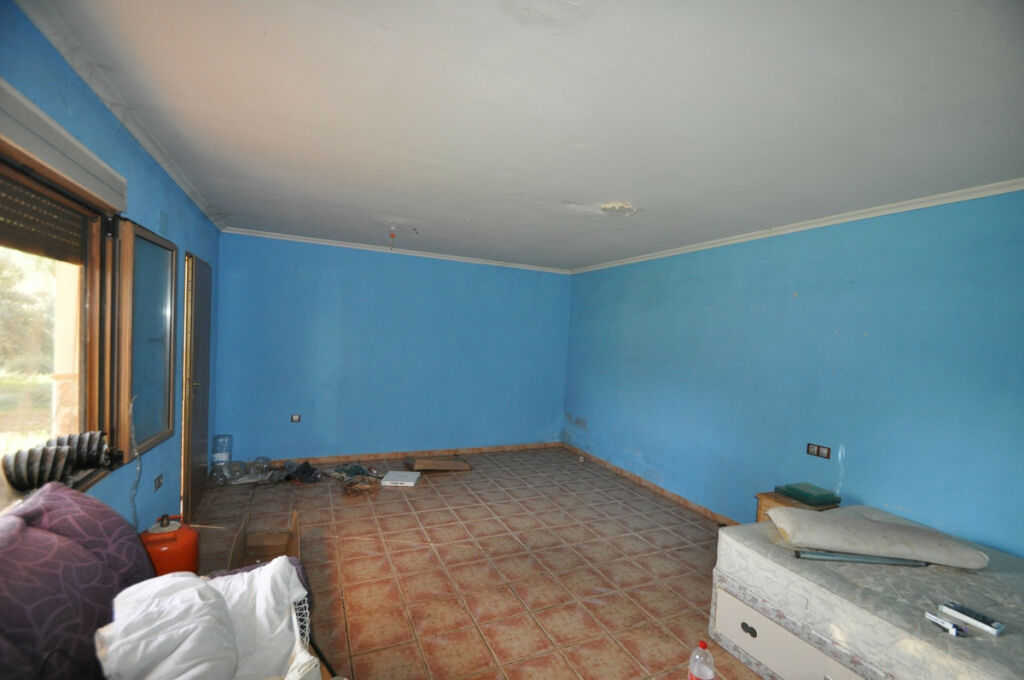 Detached Villa Aspe Alicante - image 9