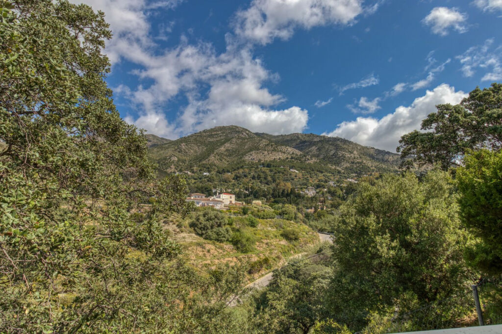 Detached Villa Mijas Málaga - image 10