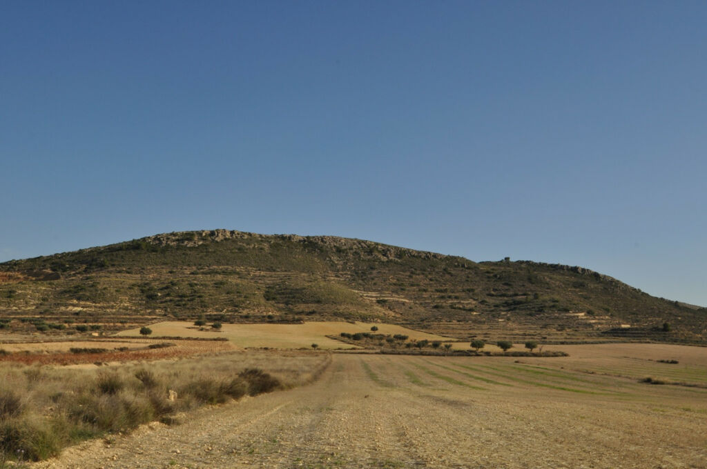 Land Torre Del Rico Murcia - image 9