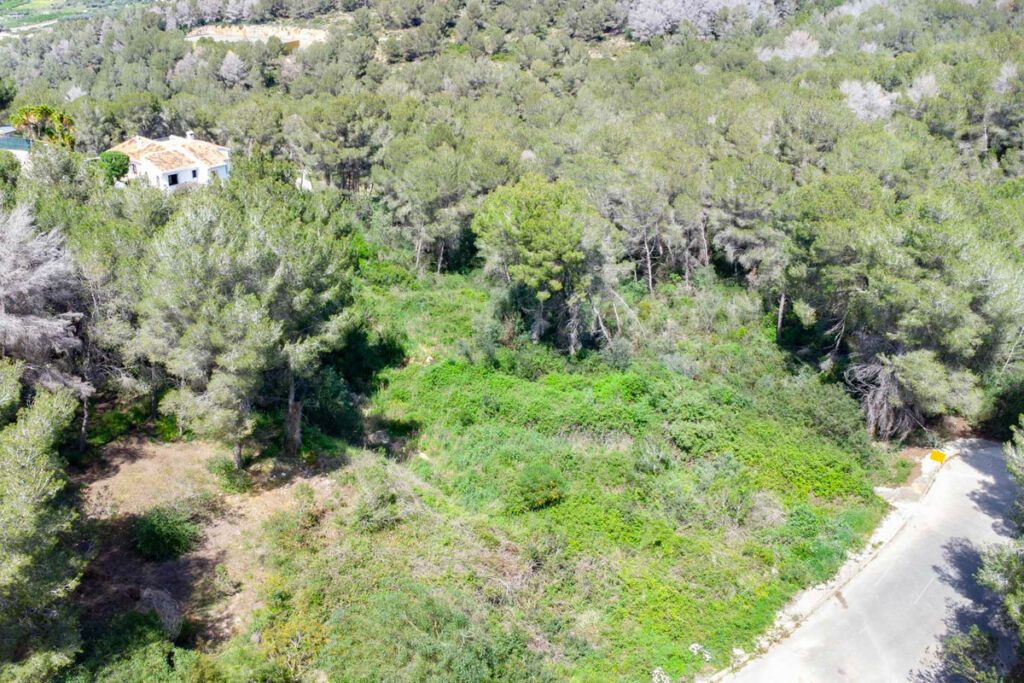 Land Javea Alicante - image 9