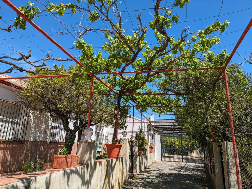 Finca - Cortijo Alora Málaga