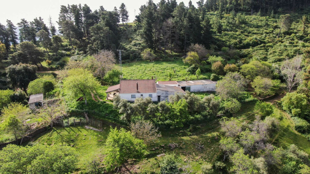 Finca - Cortijo Gaucín Málaga - image 2