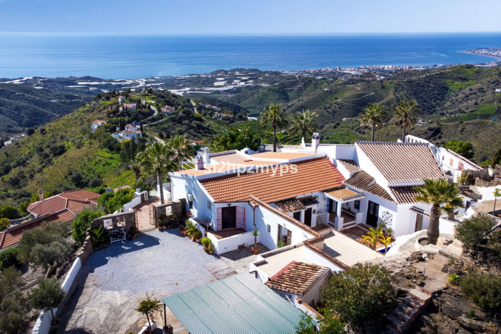 Detached Villa Sayalonga Málaga - image 10