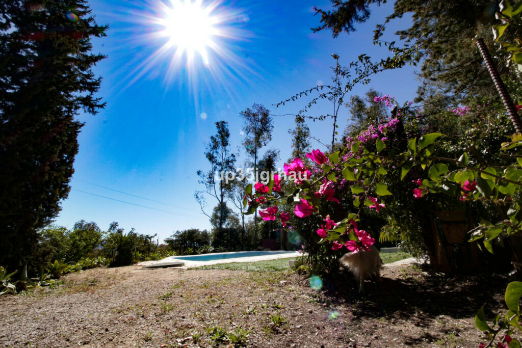 Detached Villa Gaucín Málaga - image 9