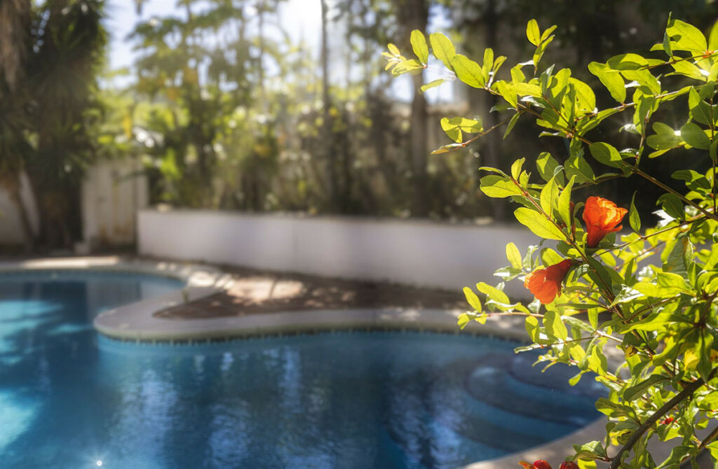 Detached Villa Benahavís Málaga - image 10