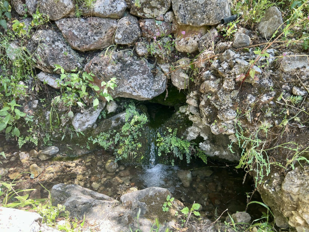Finca - Cortijo Istán Málaga - image 10