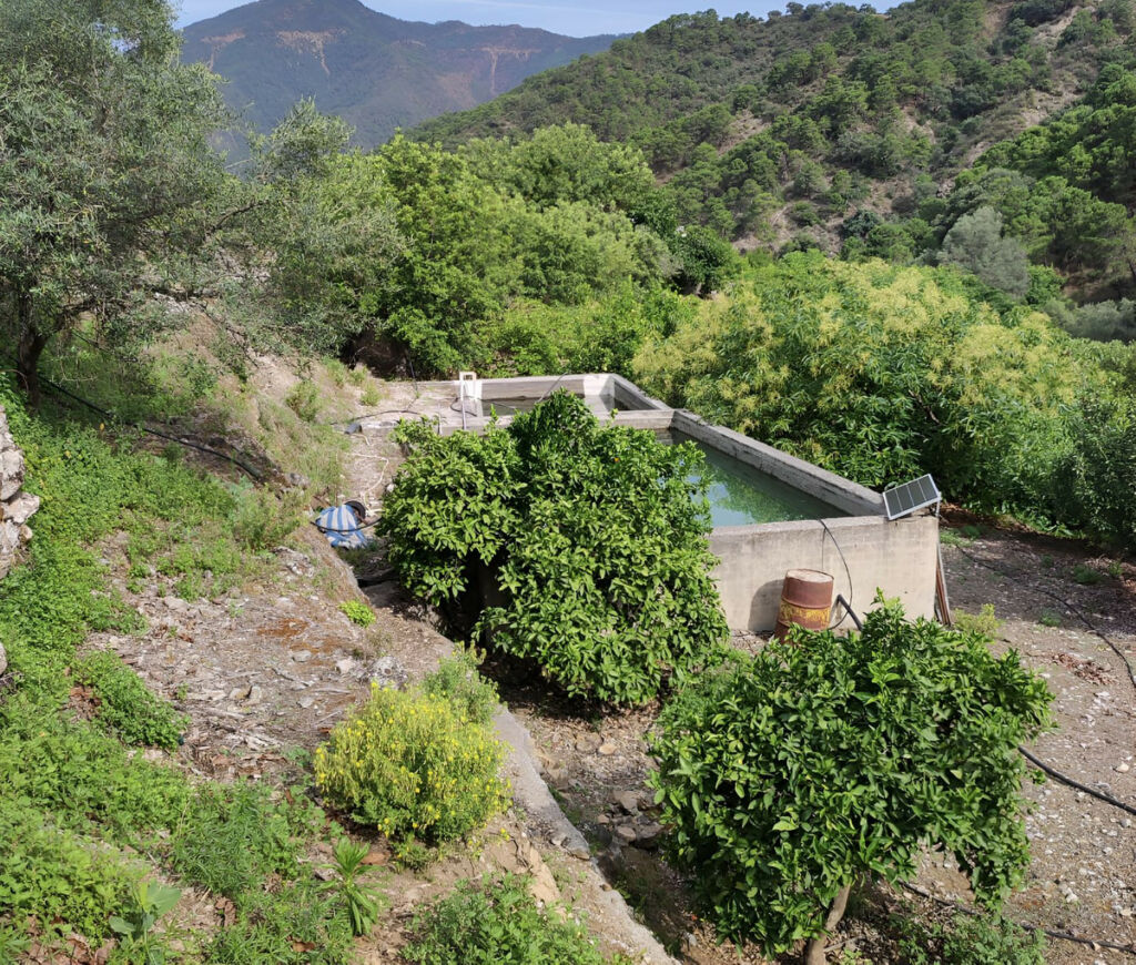 Finca - Cortijo Istán Málaga - image 12
