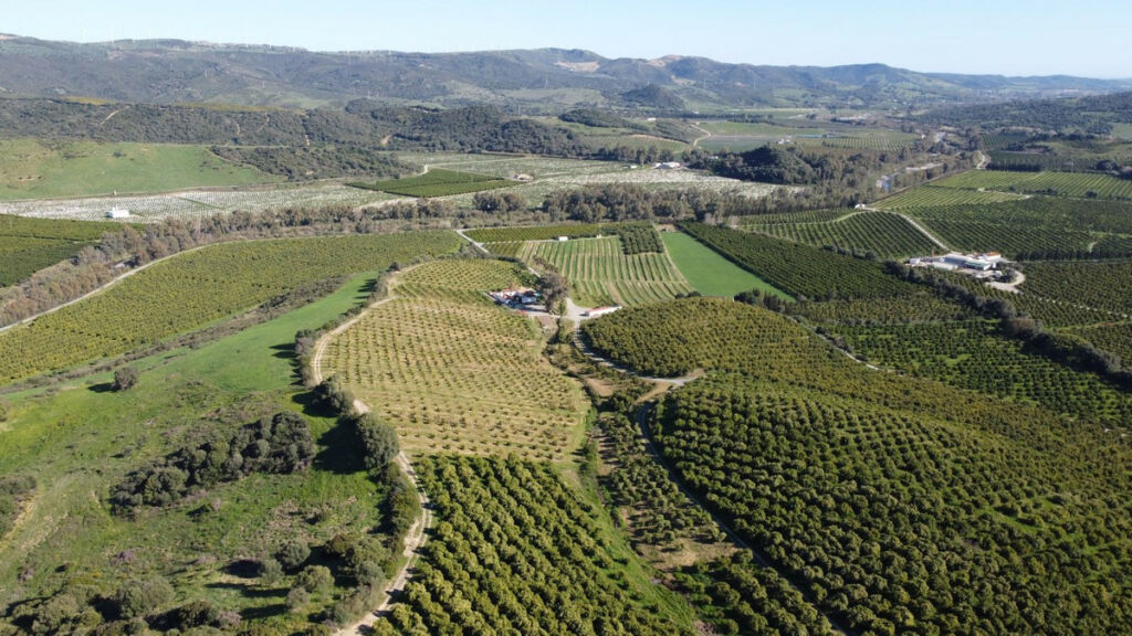 Land Casares Málaga - image 2