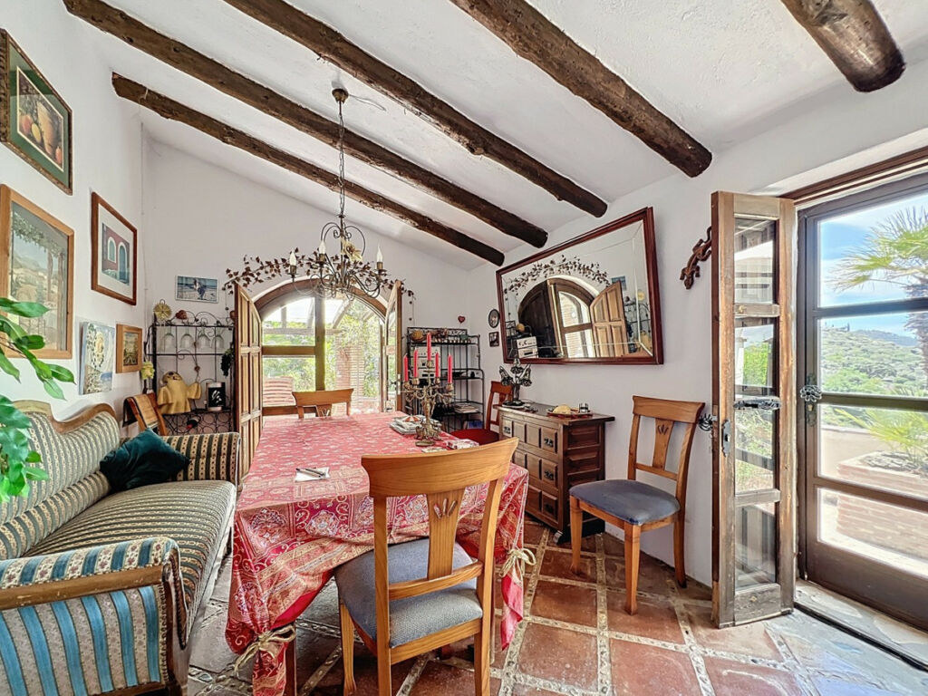 Detached Villa Sayalonga Málaga - image 10