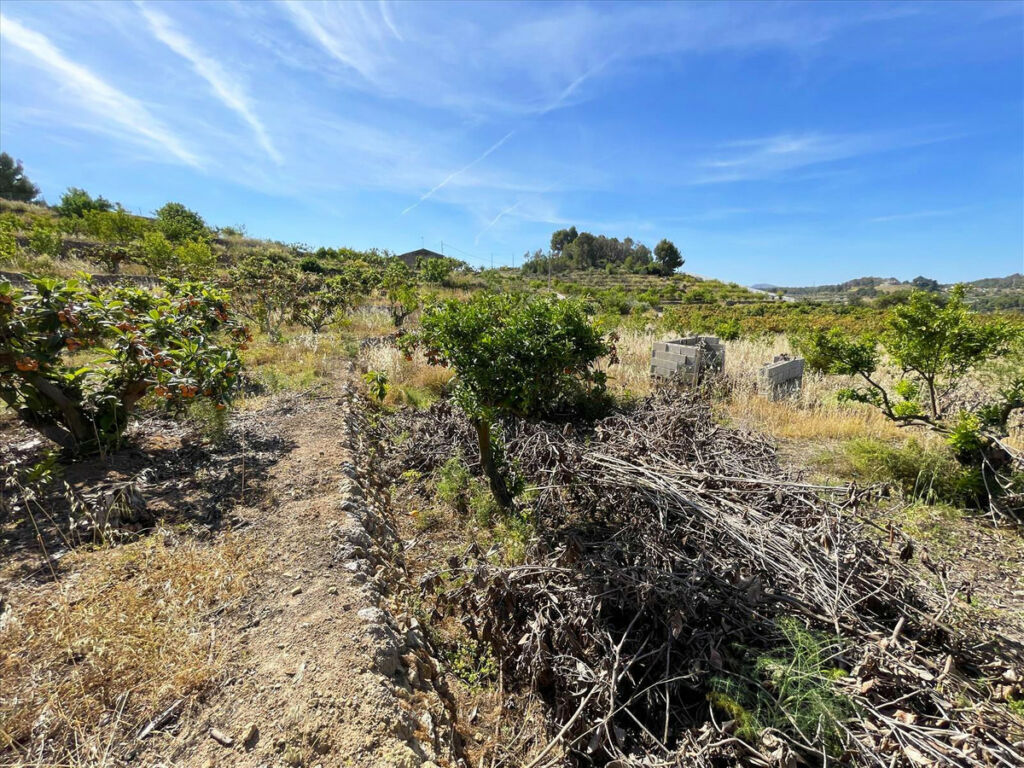 Land Callosa d'en Sarria Alicante - image 11