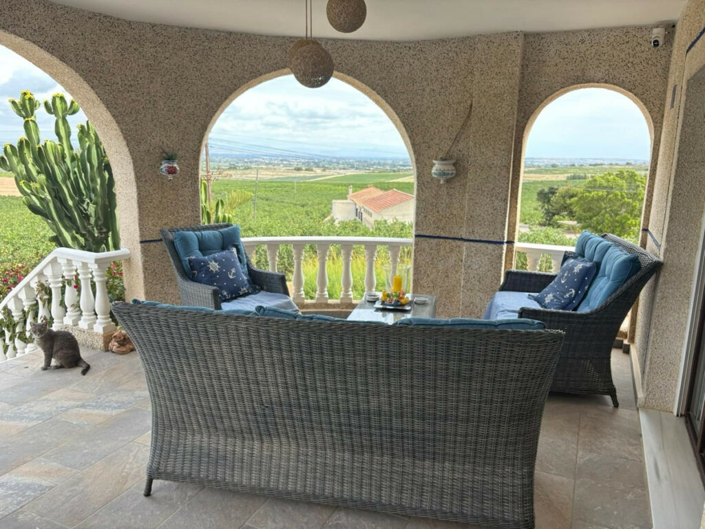 Detached Villa Algorfa Alicante - image 11