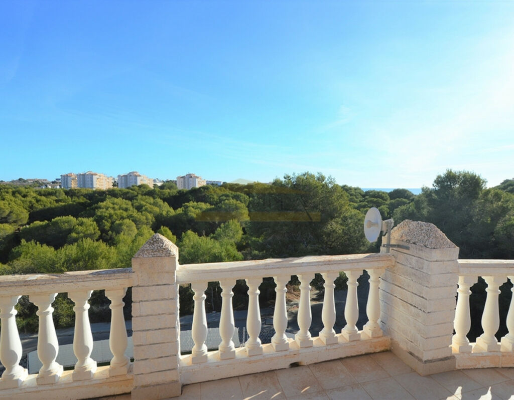 Detached Villa Campoamor Alicante - image 11
