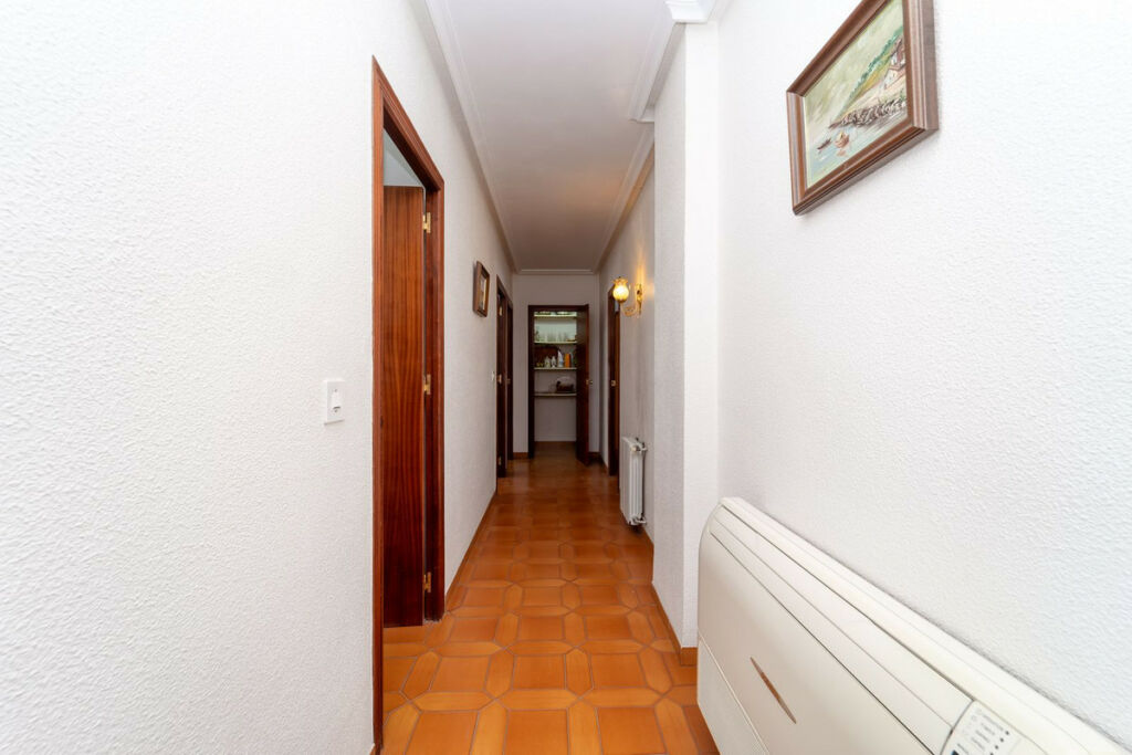 Detached Villa Salinas Alicante - image 11