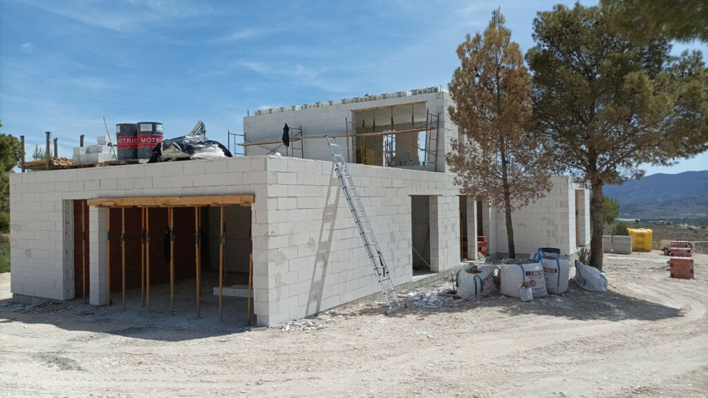 Detached Villa Aspe Alicante - image 11