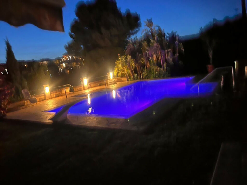 Detached Villa Elviria Málaga - image 12