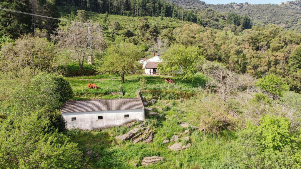Finca - Cortijo Gaucín Málaga - image 12