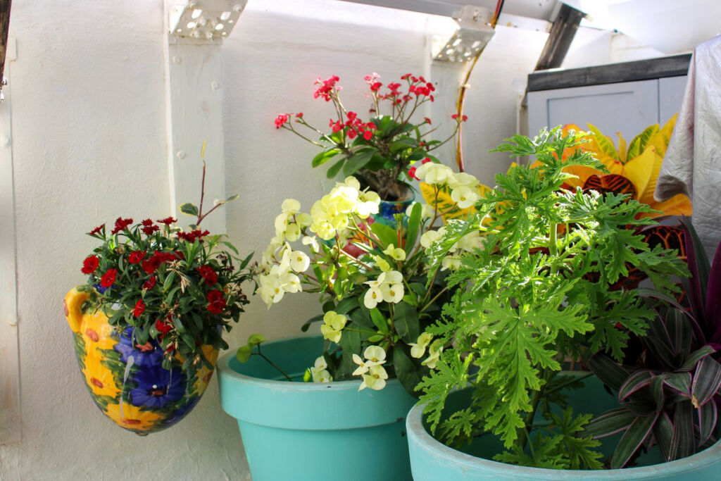 Top Floor Apartment Nerja Málaga - image 13