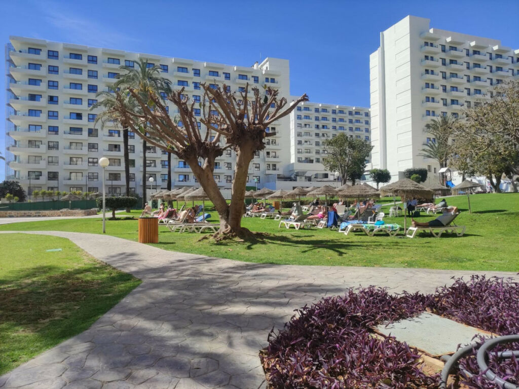 Middle Floor Studio Torremolinos Málaga - image 13