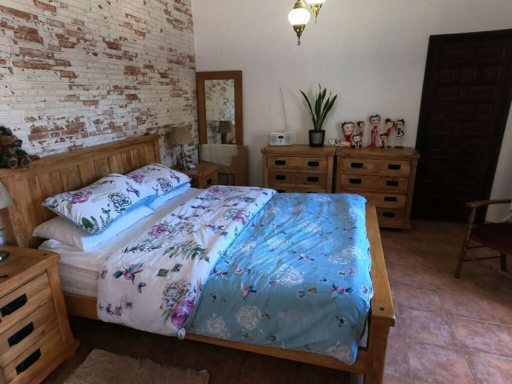 Detached Villa Jacarilla Alicante - image 13