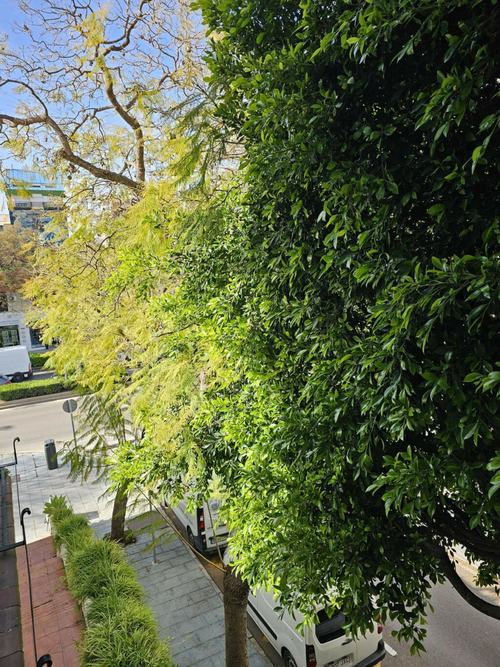 Middle Floor Apartment Marbella Málaga - image 13