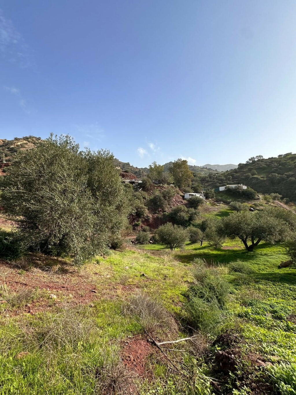 Detached Villa Puerto de la Torre Málaga - image 14