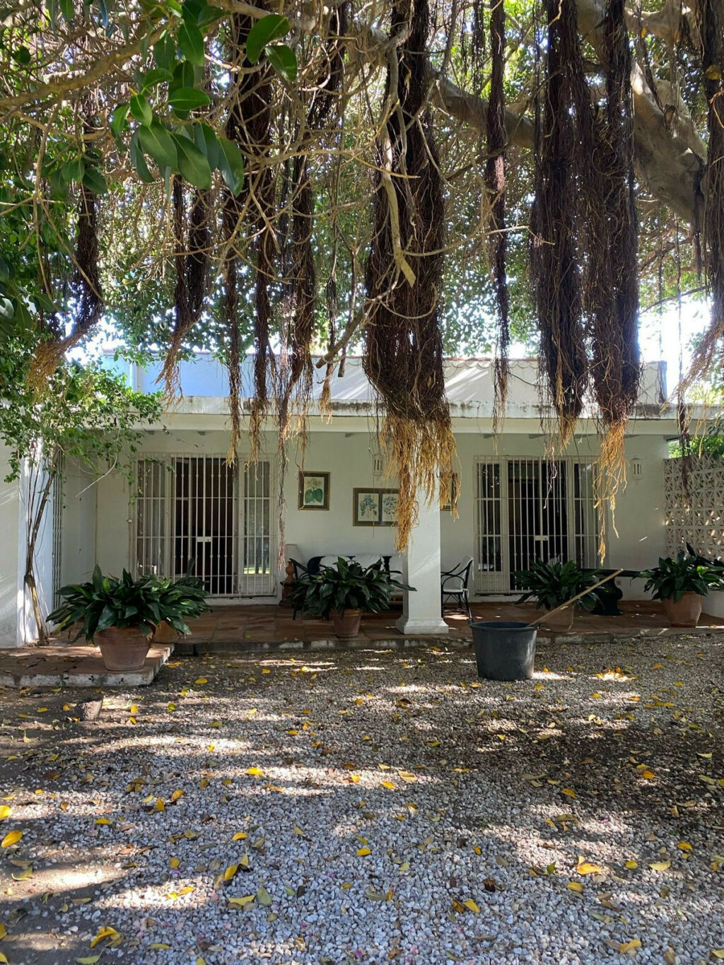 Detached Villa Guadalmina Baja Málaga - image 15
