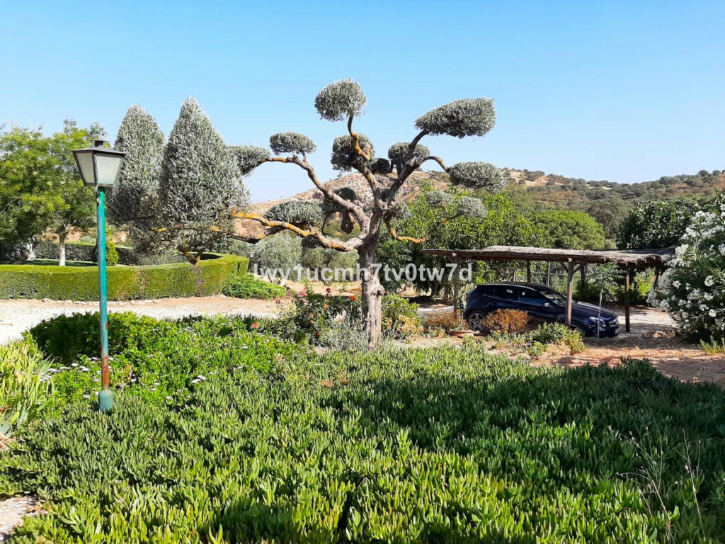 Finca - Cortijo Archidona Málaga - image 14