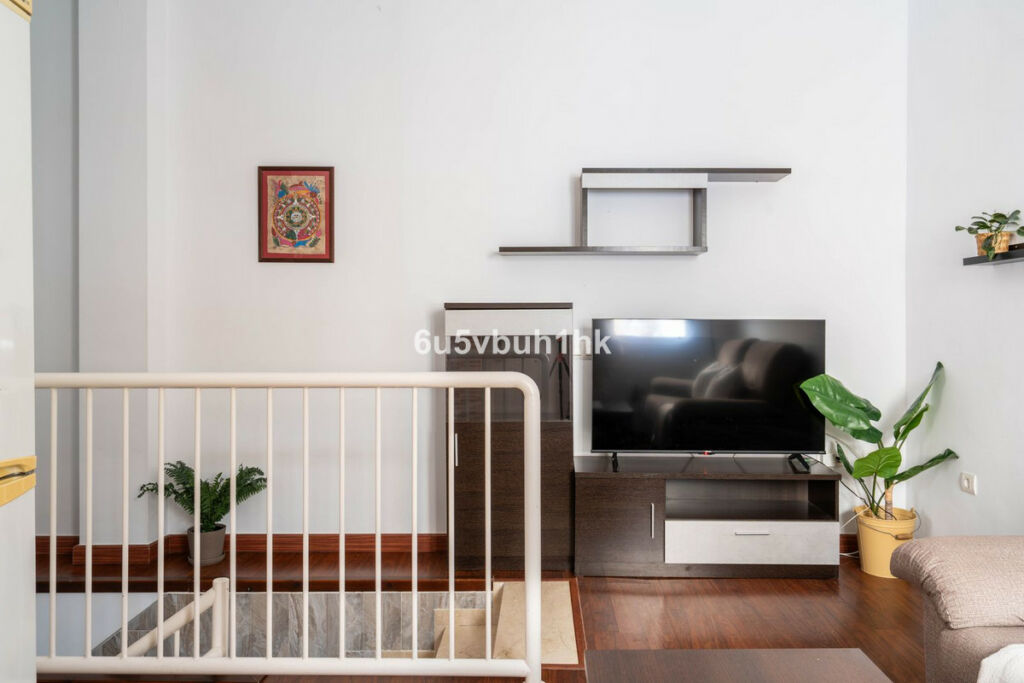 Duplex Málaga Centro Málaga - image 15