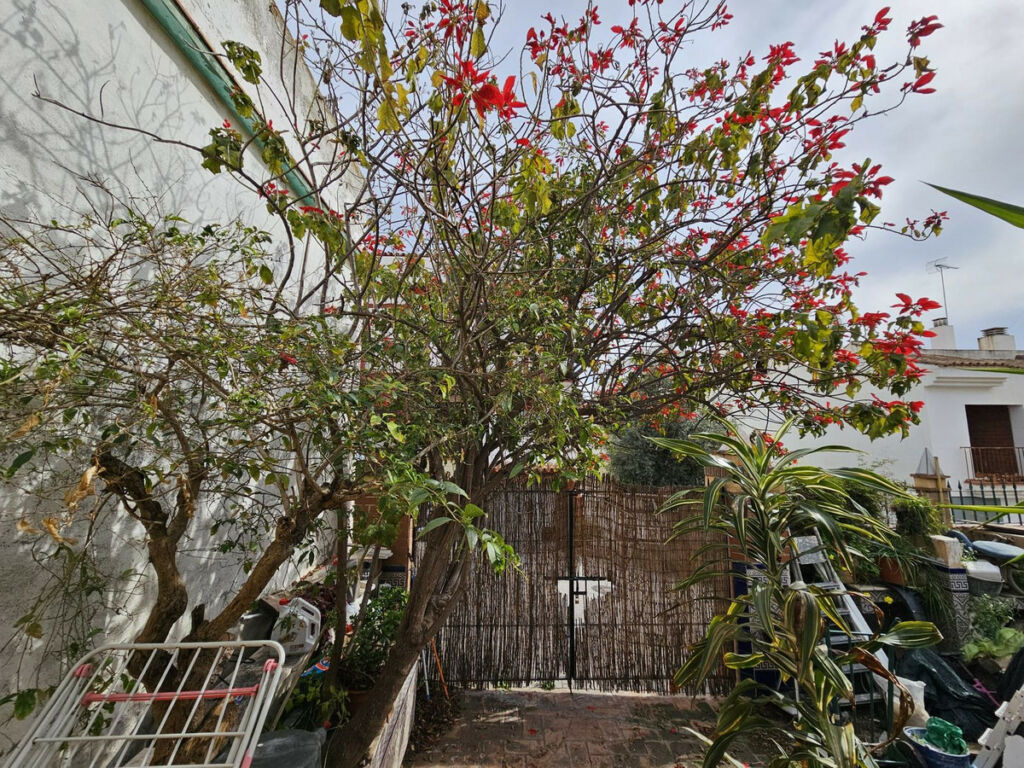 Semi-Detached House Estepona Málaga - image 15