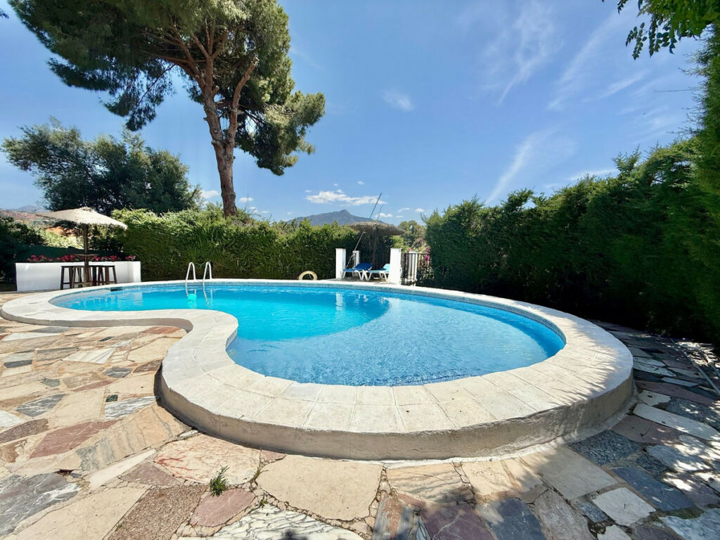 Detached Villa Guadalmina Alta Málaga - image 15