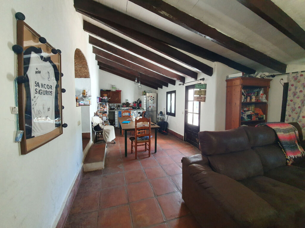 Finca - Cortijo San Enrique Cádiz - image 16