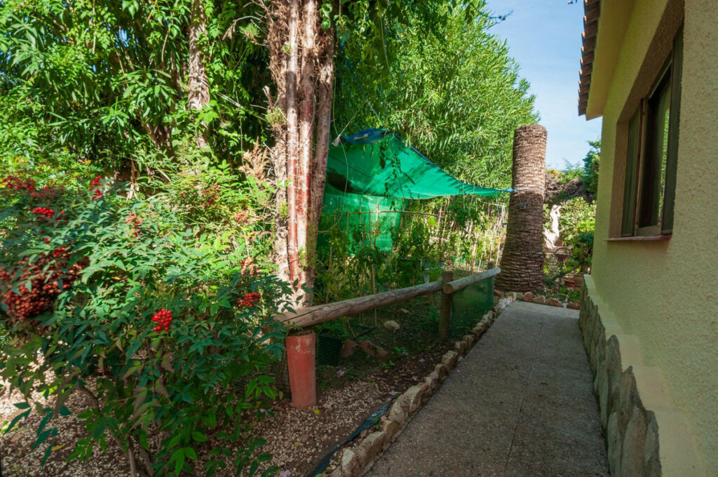 Detached Villa Calpe Alicante - image 16
