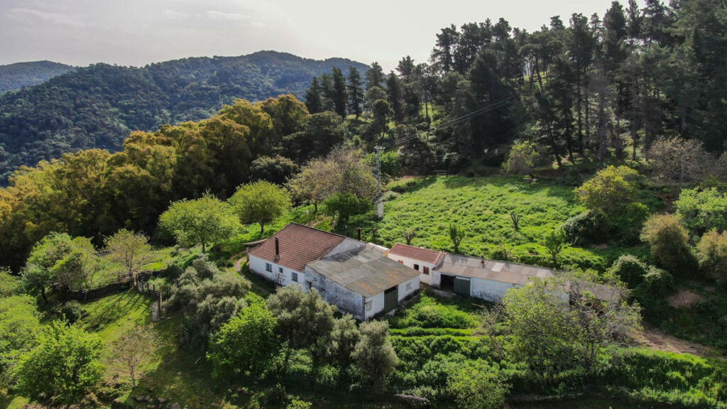 Finca - Cortijo Gaucín Málaga - image 16