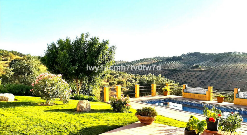 Finca - Cortijo Archidona Málaga - image 15