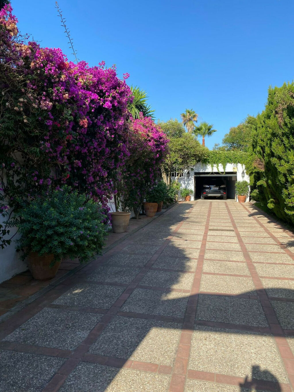 Detached Villa Guadalmina Baja Málaga - image 16