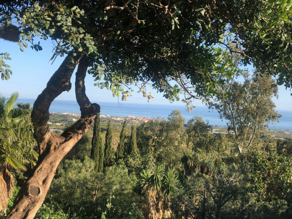 Detached Villa Almayate Málaga - image 17