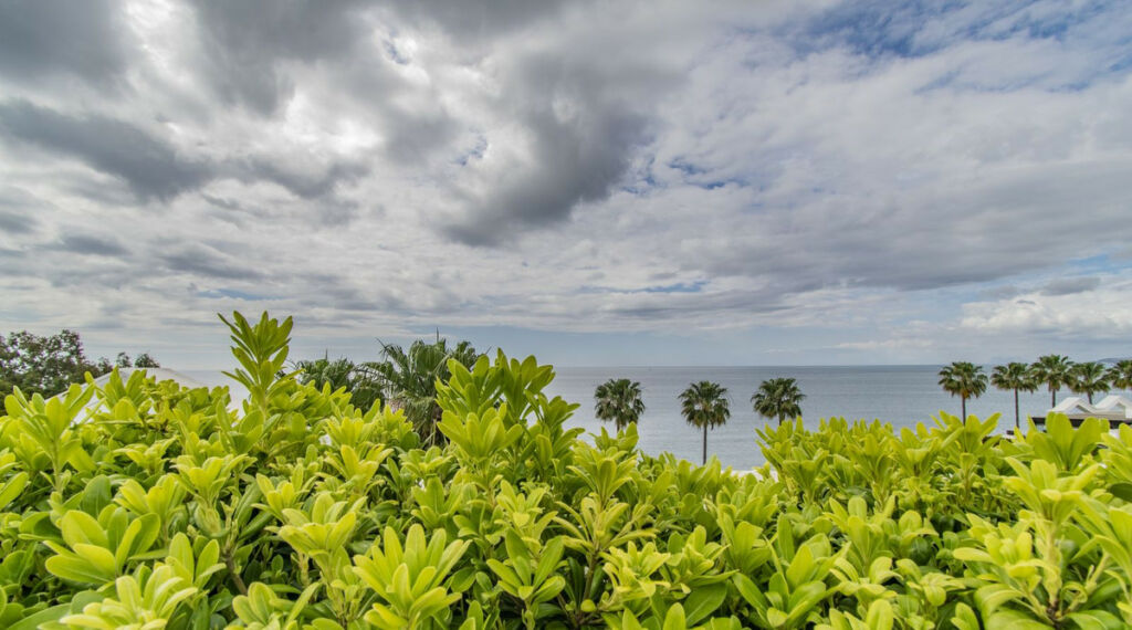 Penthouse Estepona Málaga - image 17