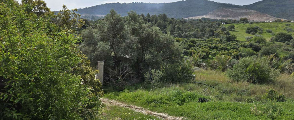 Residential Plot Coín Málaga - image 17