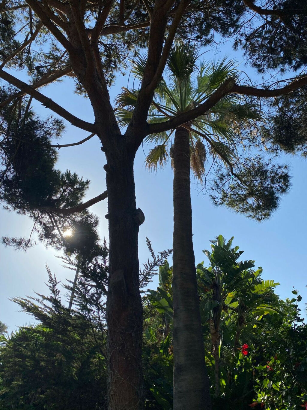 Detached Villa Guadalmina Baja Málaga - image 18