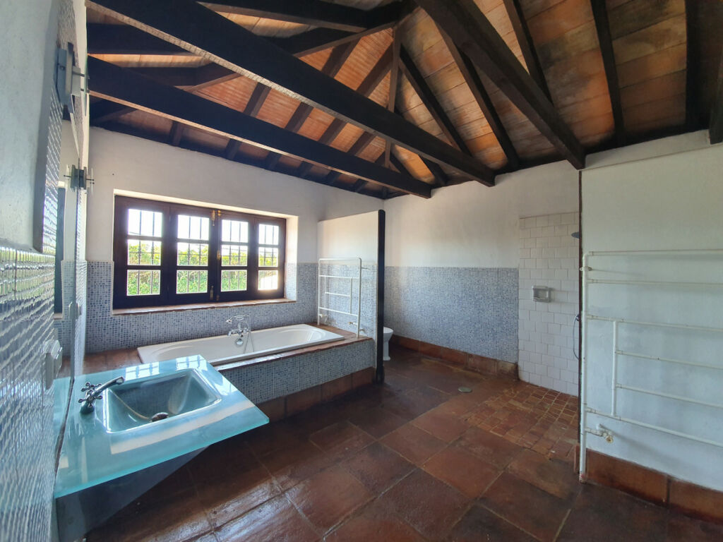 Finca - Cortijo San Enrique Cádiz - image 19
