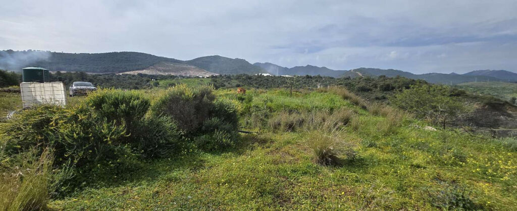Residential Plot Coín Málaga - image 2